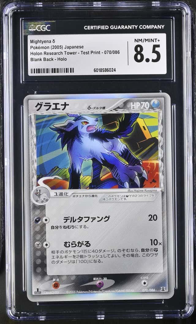 Mightyena