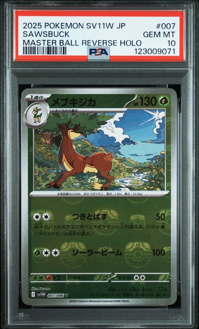 Sawsbuck