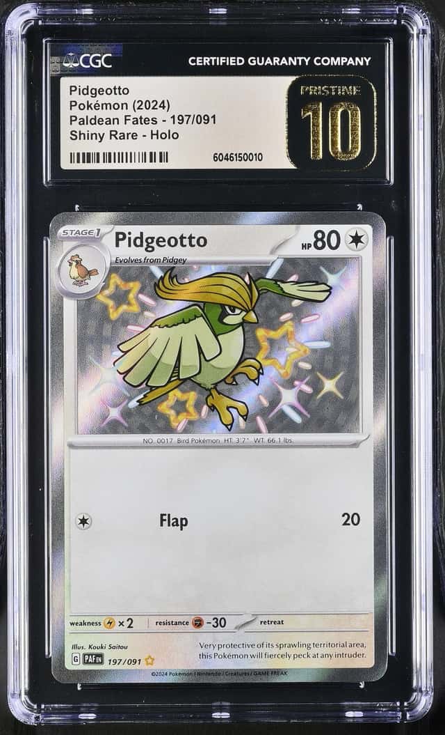 Pidgeotto