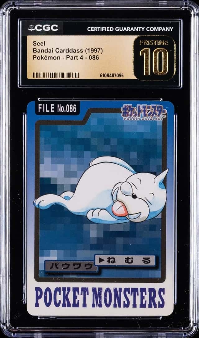 Seel