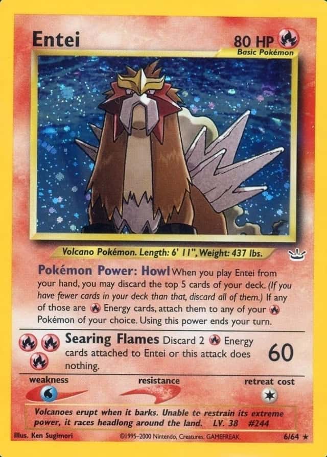 Holo