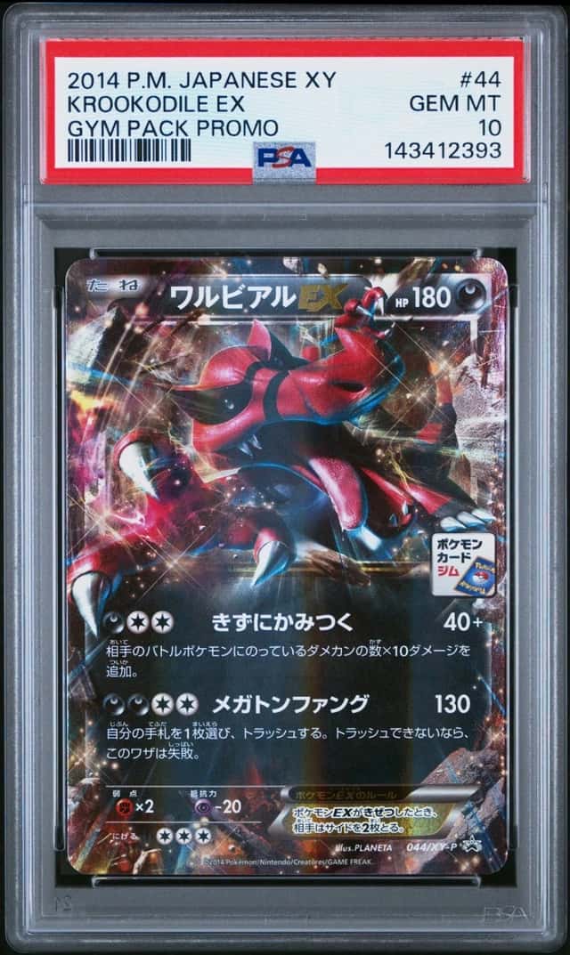 Krookodile EX