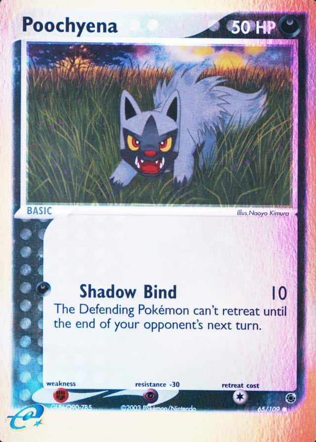 Reverse Holo