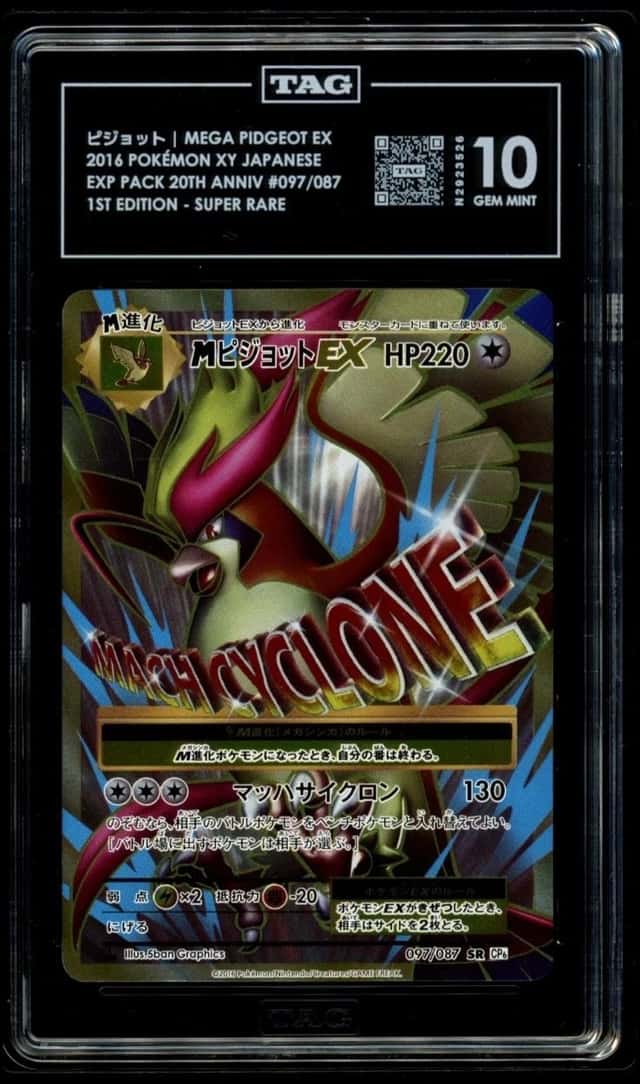 M Pidgeot EX
