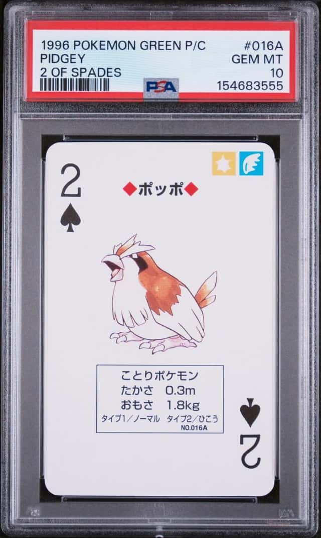 Pidgey