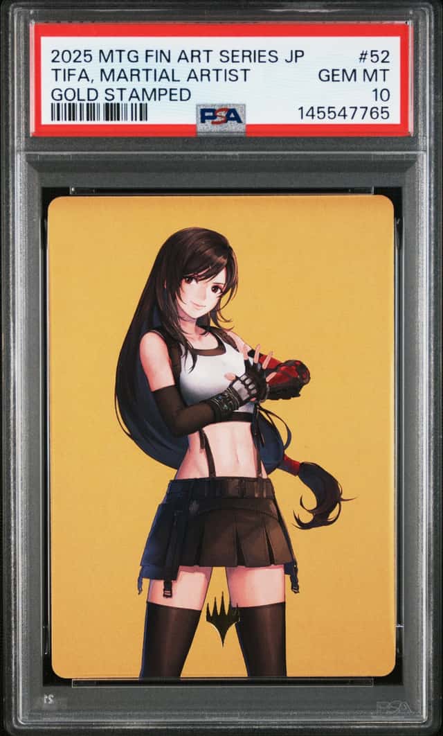 Tifa, Martial Artist