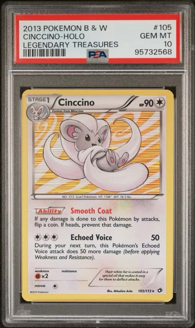 Cinccino