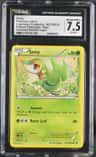 Snivy
