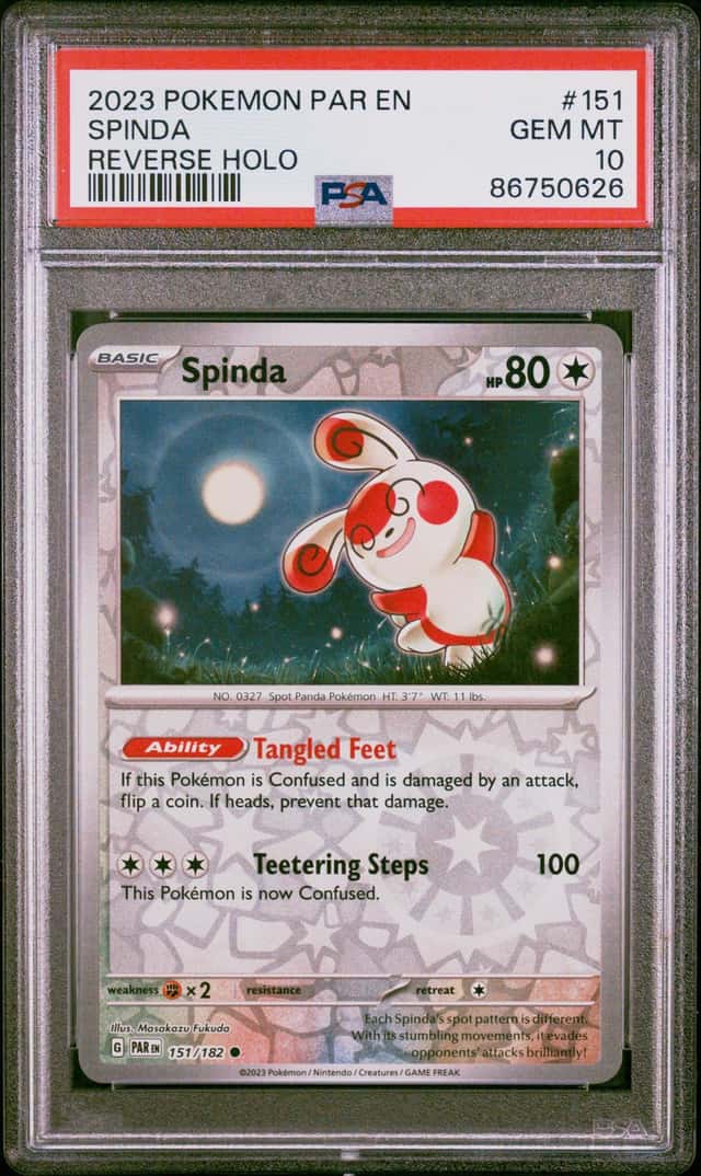 Spinda