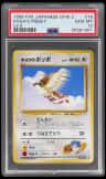 Koga'S Pidgey