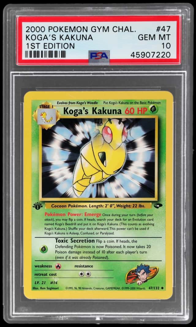 Koga's Kakuna