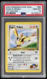 Koga'S Pidgey