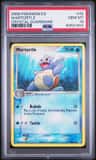 Wartortle