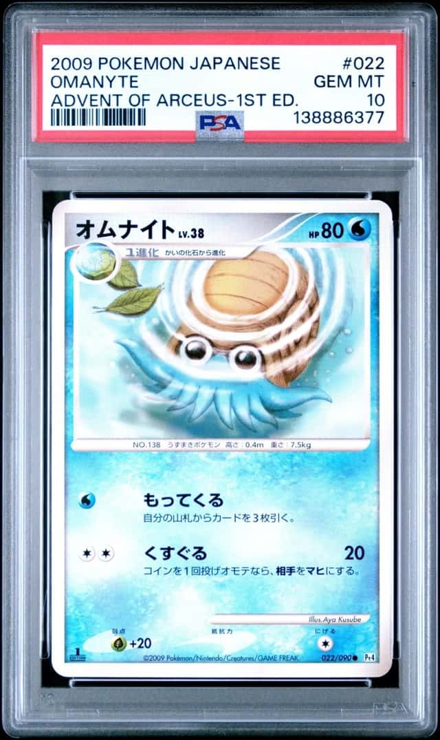 Omanyte