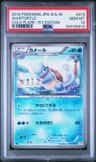Wartortle