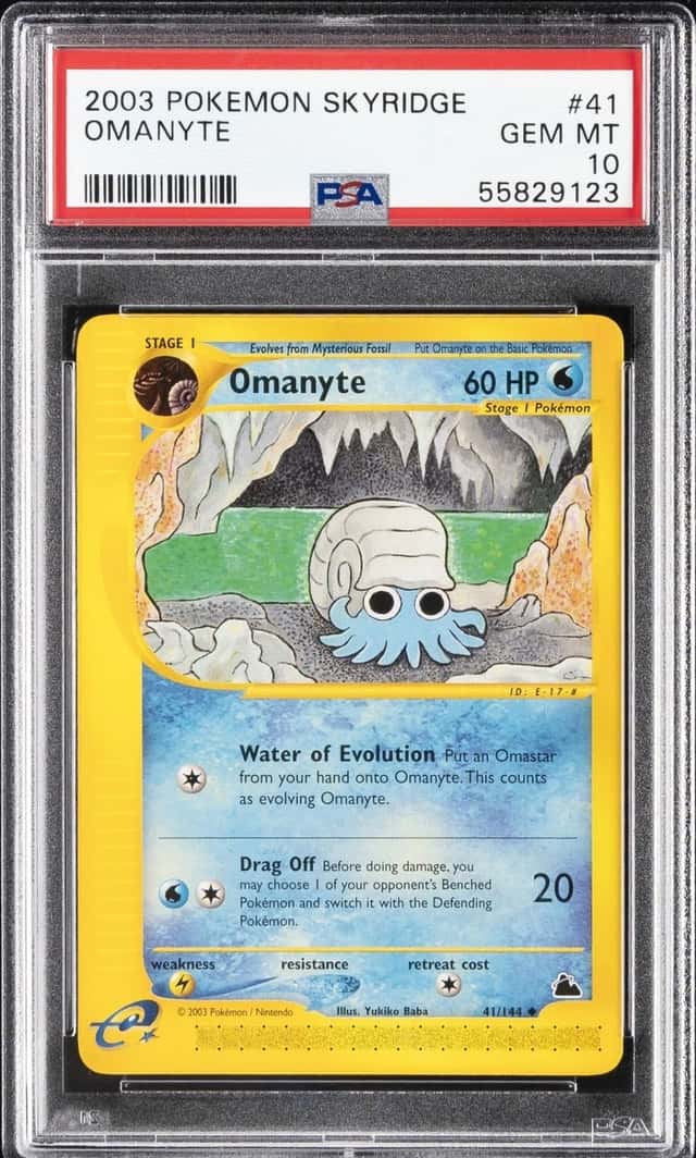 Omanyte
