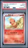 Torchic