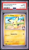 Ethan'S Pichu