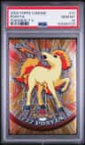Ponyta