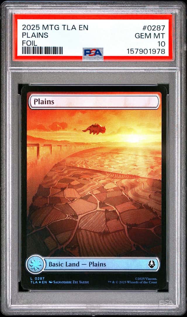 Plains