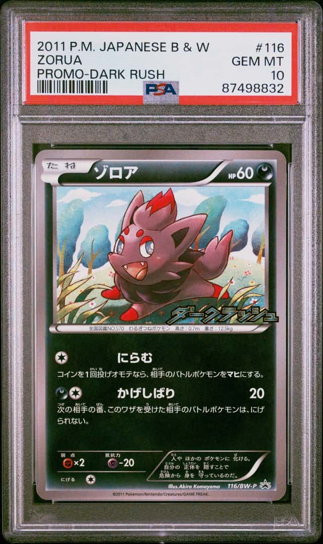 Zorua