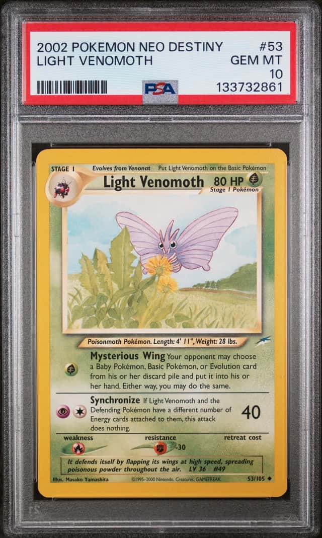 Light Venomoth