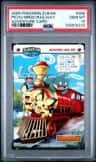 Pichu Bros. Rascal Railway
