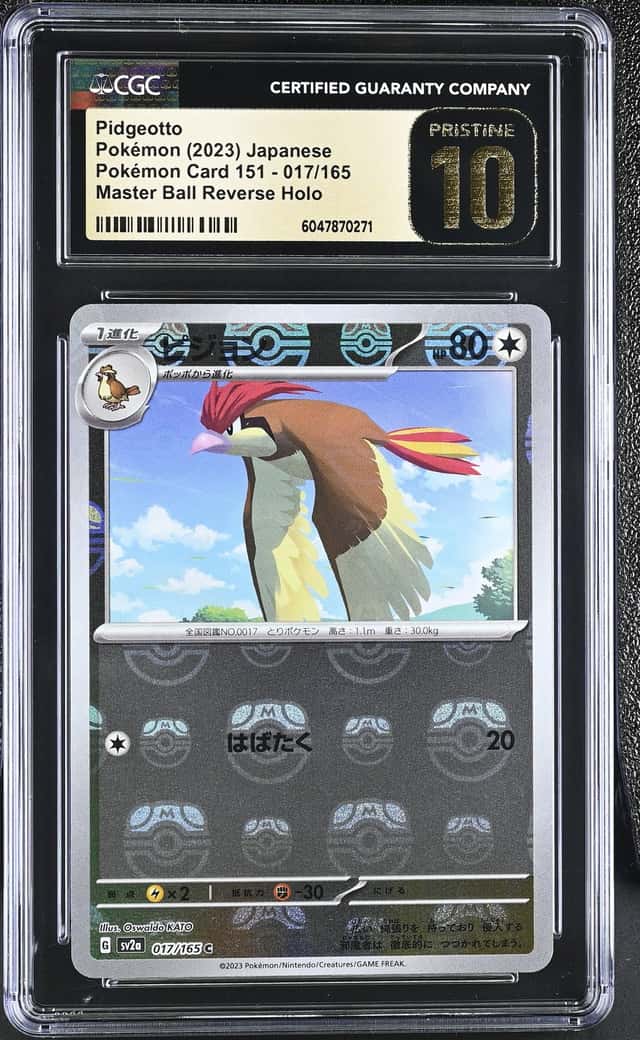 Pidgeotto