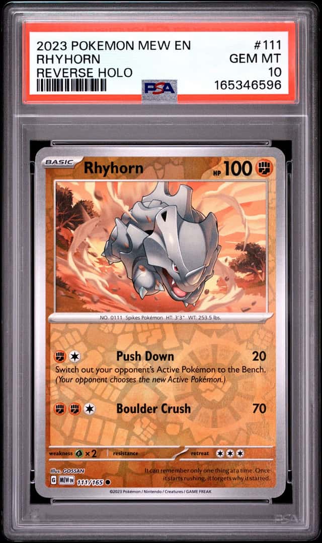 Rhyhorn
