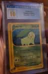 Chikorita