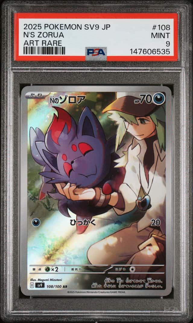 N's Zorua