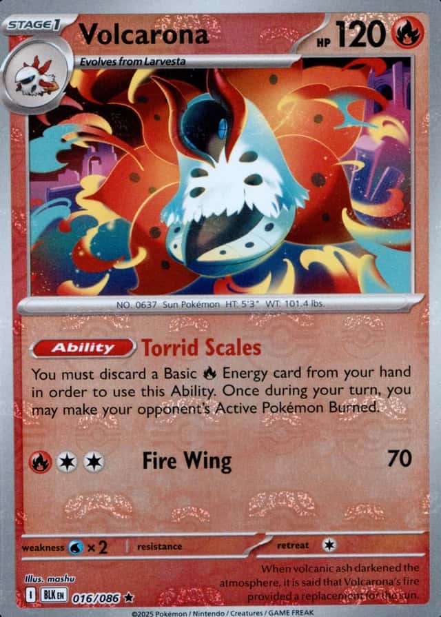 Master Ball · Reverse Holo