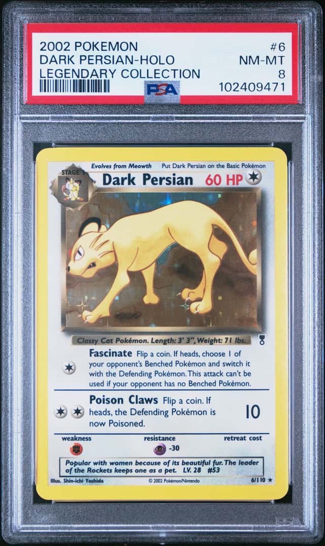 Dark Persian