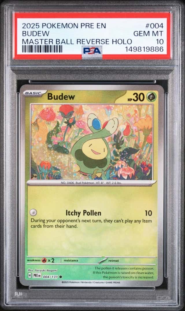 Budew