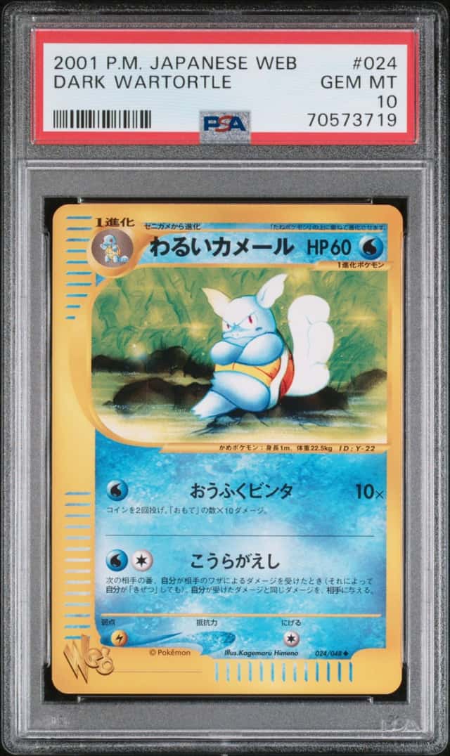 Dark Wartortle