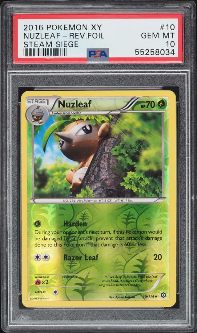 NUZLEAF