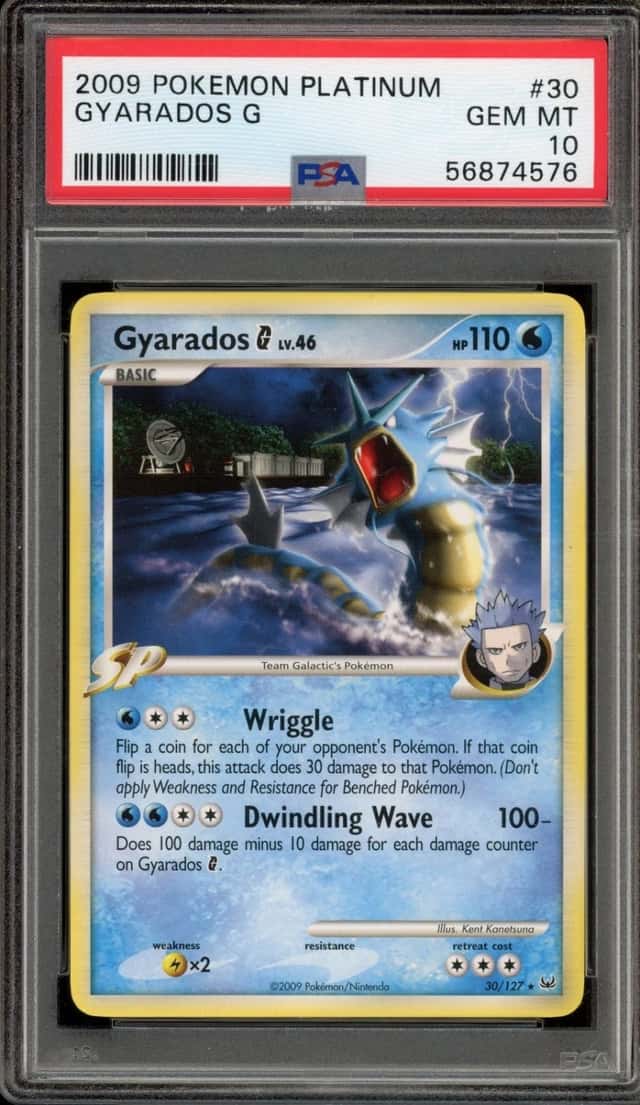 Gyarados G