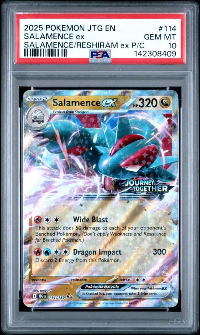 SALAMENCE ex