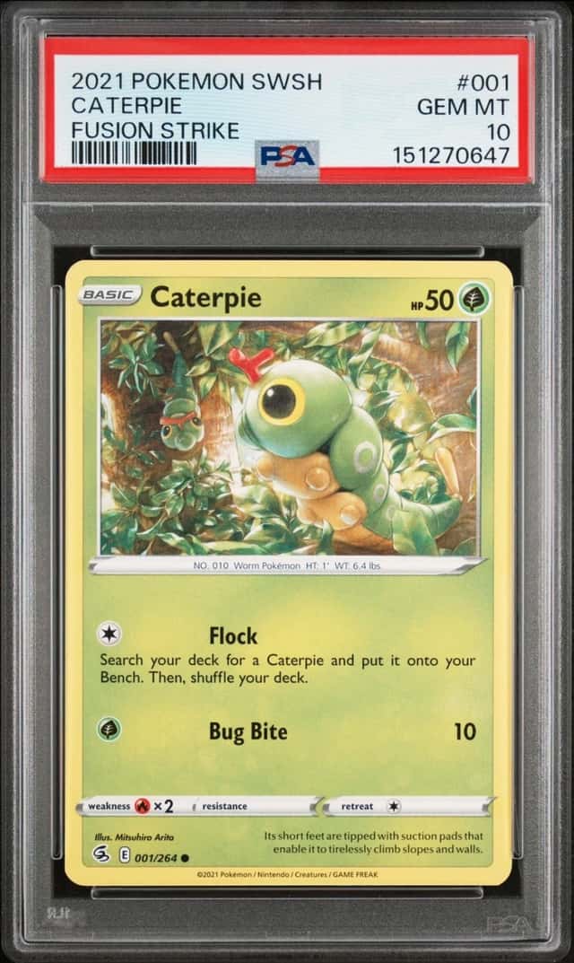 Caterpie