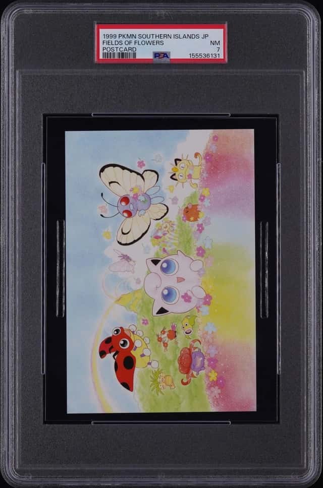 Fields Of Flowers
