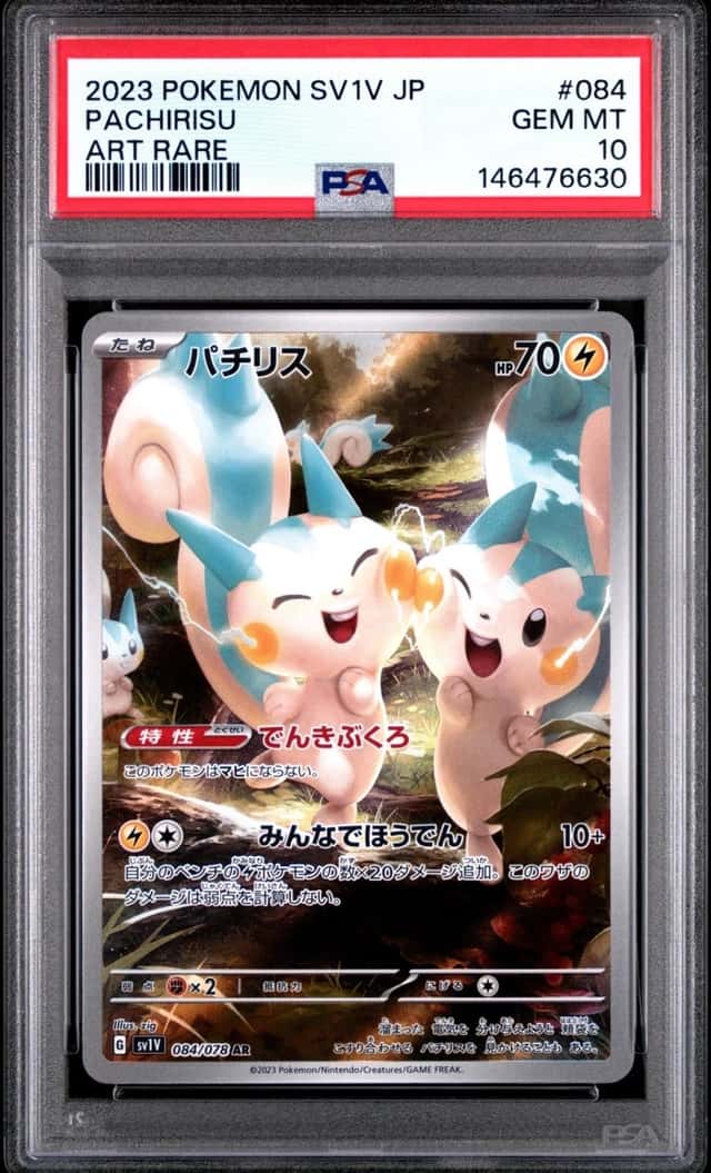 Pachirisu