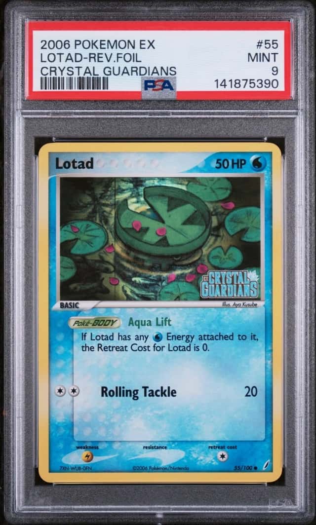 Lotad