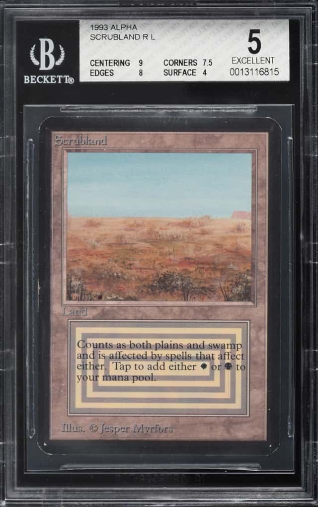 Scrubland R :L: