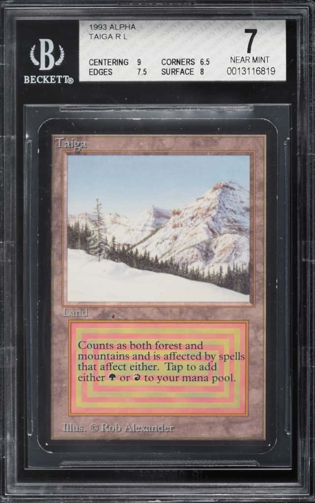 Taiga R :L:
