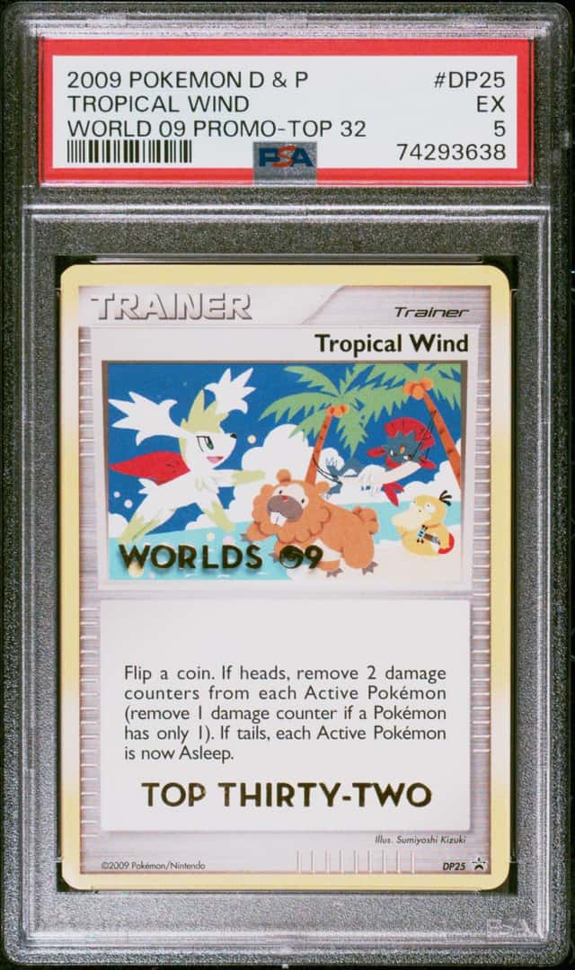 Tropical Wind