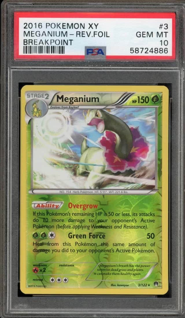 Meganium