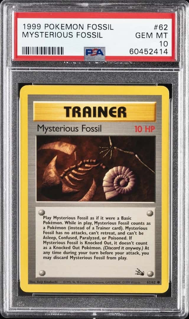 Mysterious Fossil