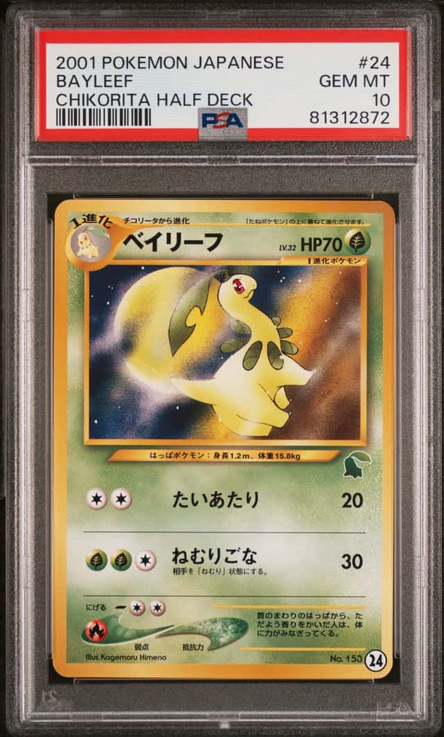 Bayleef