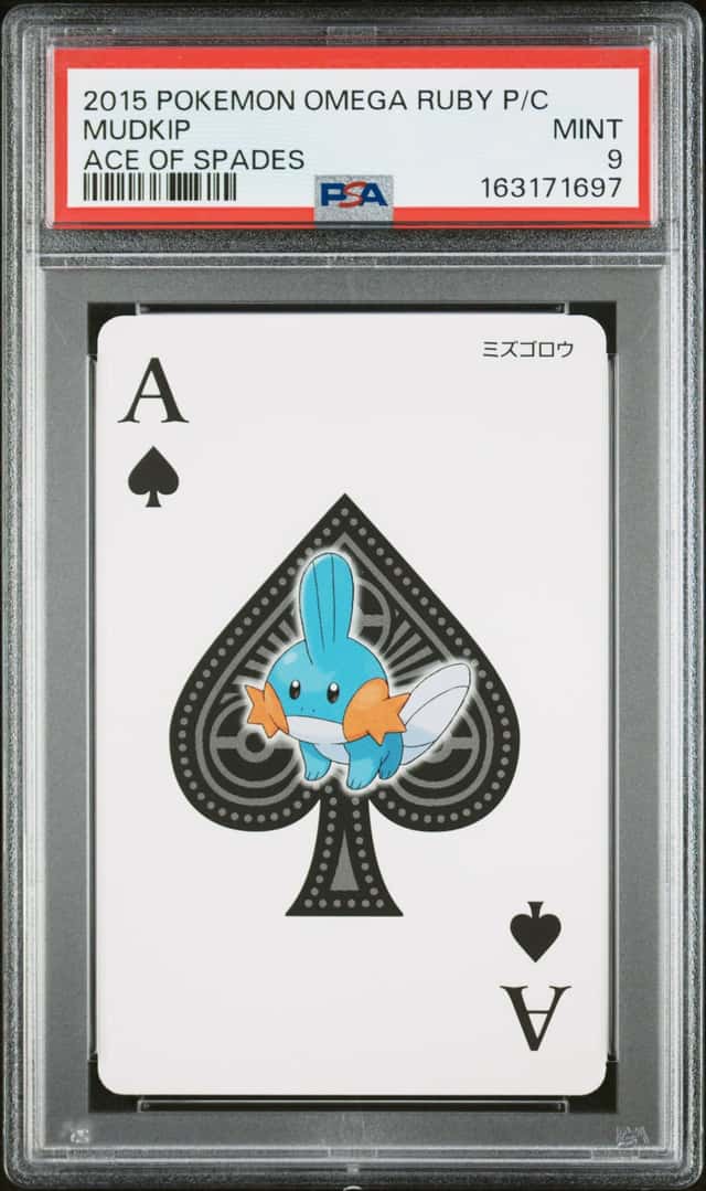 Mudkip