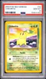 Chikorita